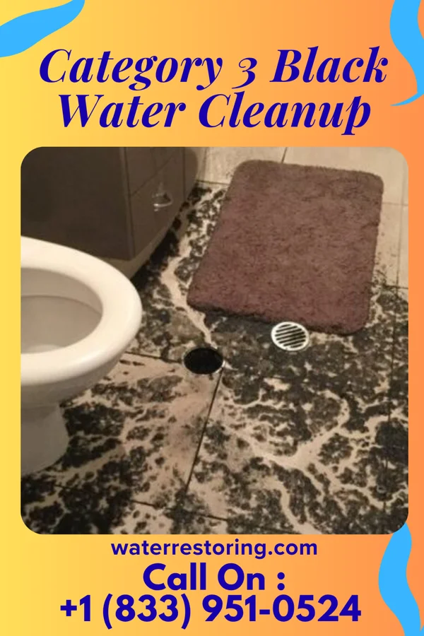Category 3 Black Water Cleanup in Calvin, OK